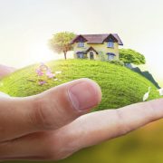 land banking vs property flipping