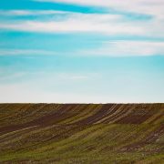 Land Investment