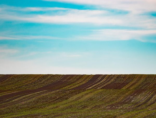 Land Investment in Nigeria: How to Identify Profitable Land Before You Buy