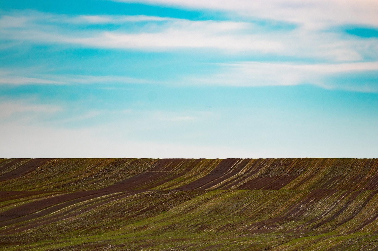 Land Investment in Nigeria: How to Identify Profitable Land Before You Buy